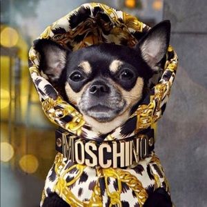 Moschino dog collar and leash